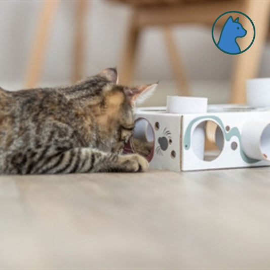 Paws’n’Treats Box