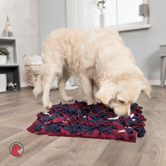 Snuffelmat – Classic