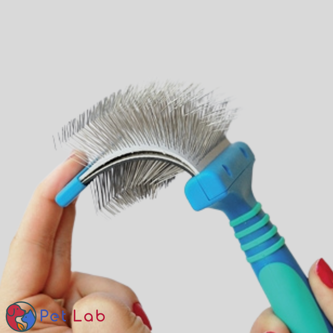 Dubbelzijdige Borstel Blauw