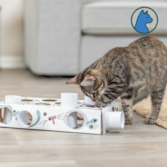 Paws’n’Treats Box