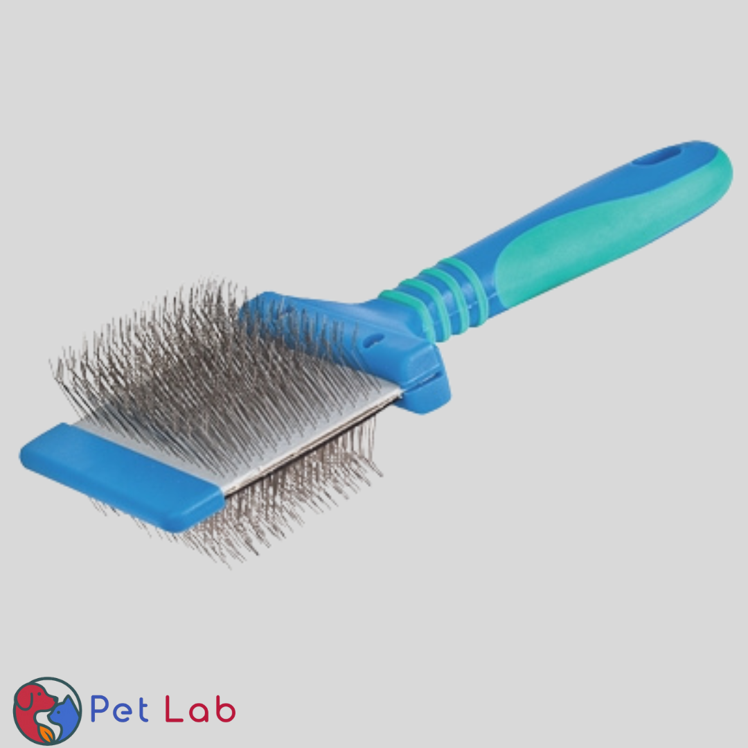 Dubbelzijdige Borstel Blauw