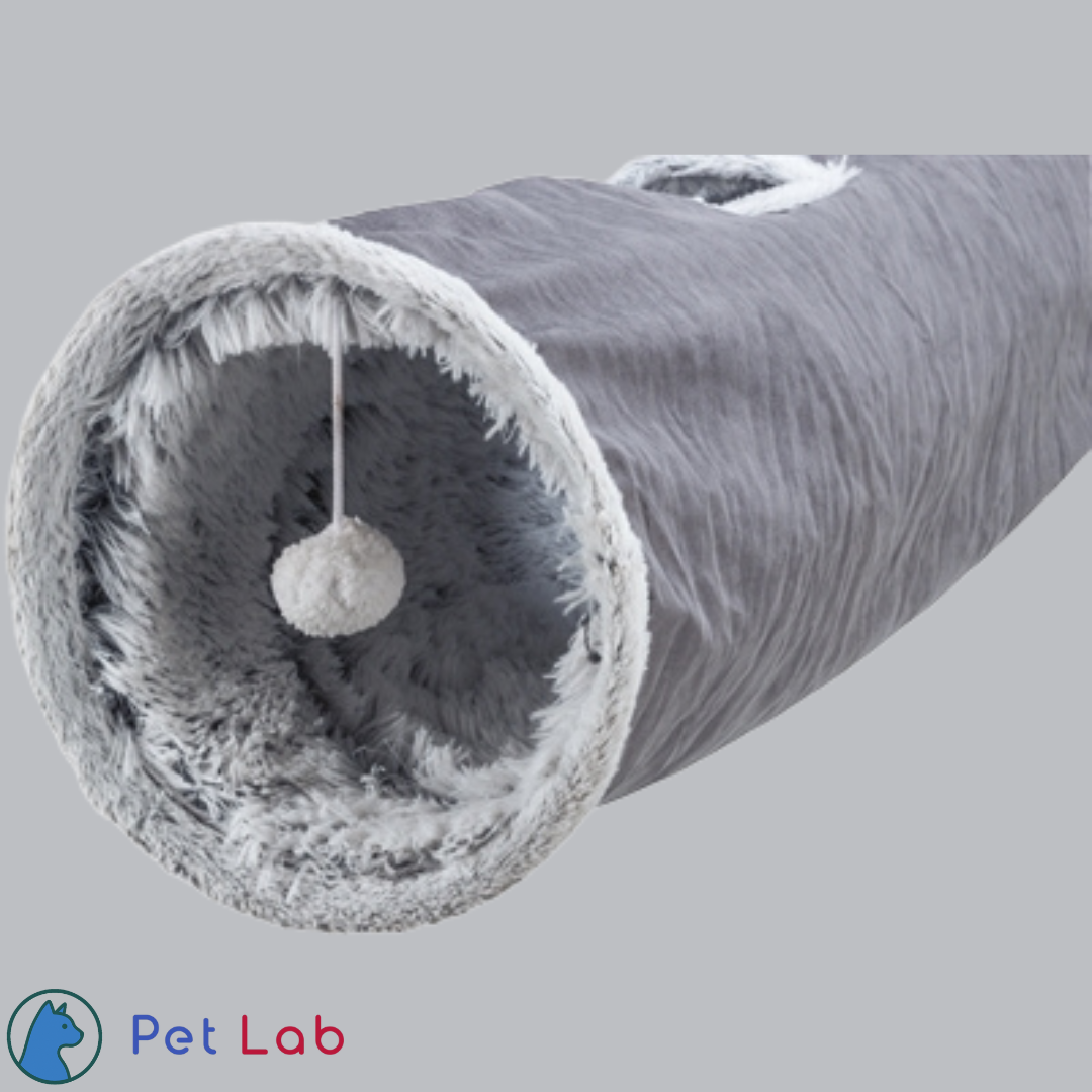 Katten Speeltunnel Harvey