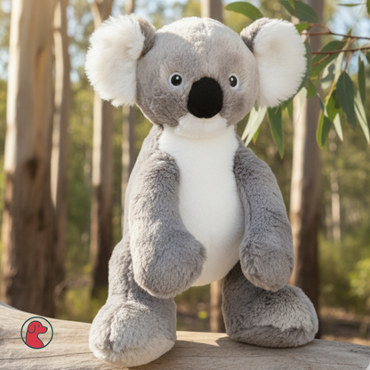 Pluche Speeltje – Koala
