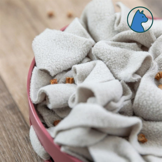 Hide’n’Sniff Bowl