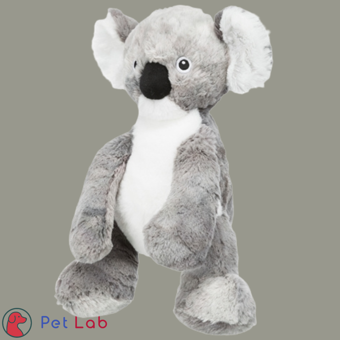 Pluche Koala